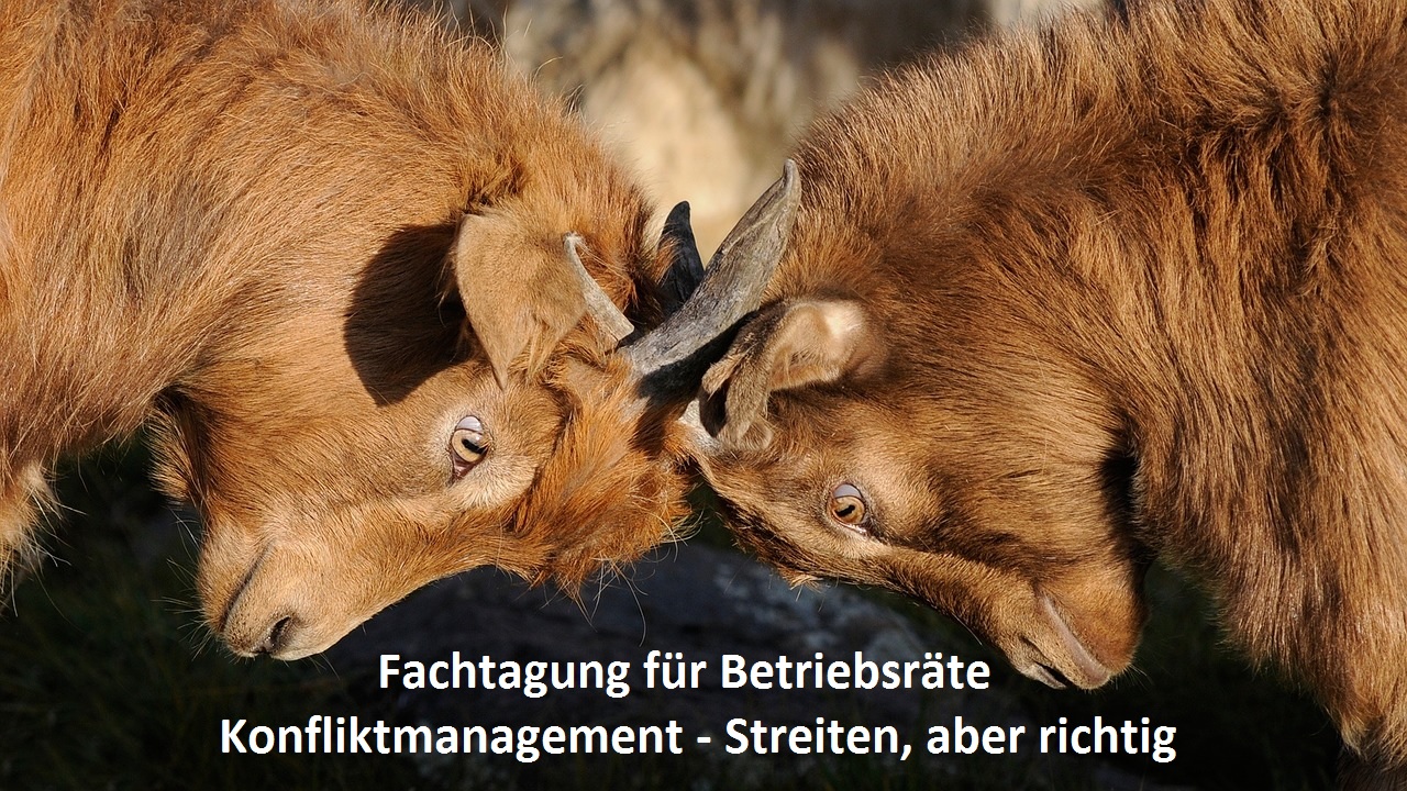 Konfliktmanagement für Betriebsräte (Bildquelle: @pixabay) Konfliktmanagement für Betriebsräte (Bildquelle: @pixabay)