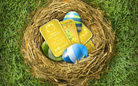 Partner Bank: Kinebarren im Osternest