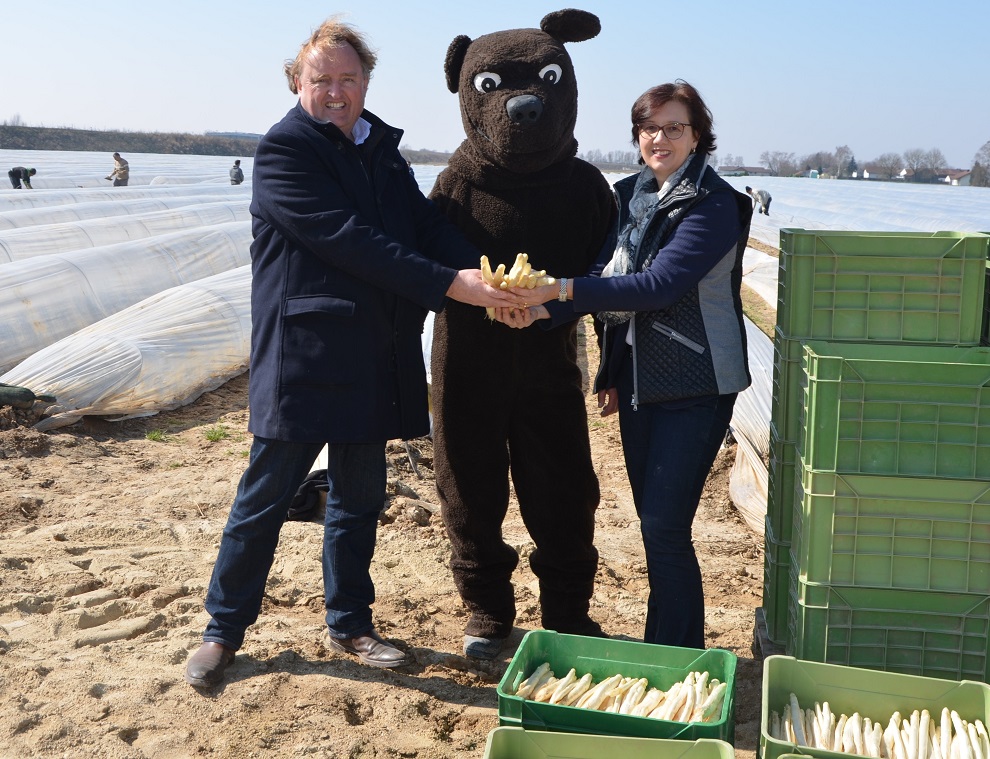 Wärme läßt den Gäubodenspargel schneller wachsen: Rose-Marie und Karl Baumann mit dem Spargelbär. (B