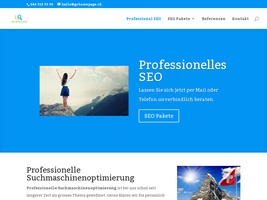 professionelle-suchmaschinenoptimierung.ch