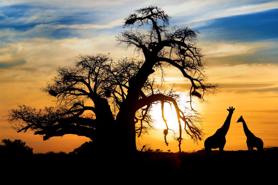 Botswana Botswana