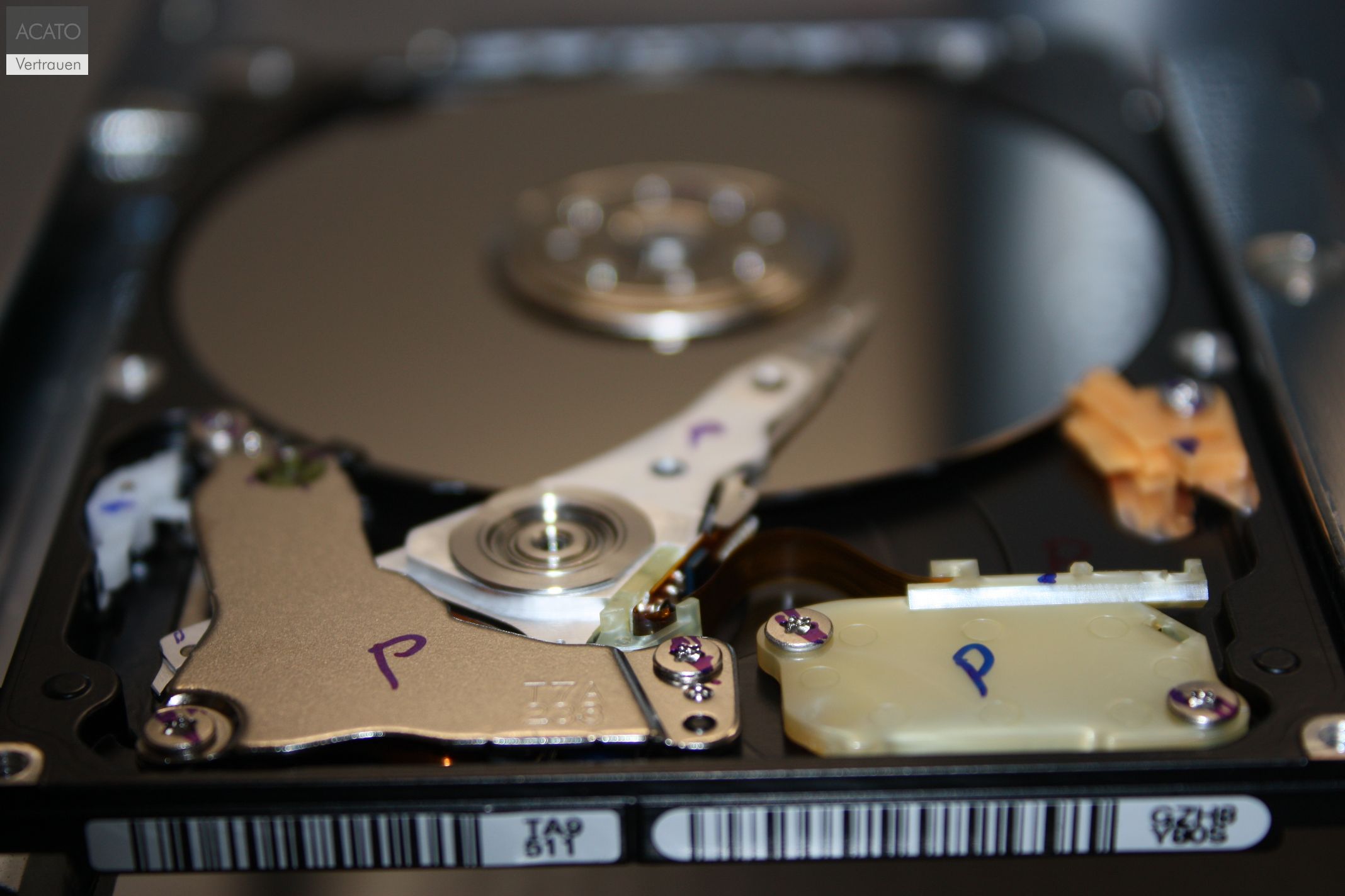 Datenrettung einer Festplatte im cleanroom Datenrettung einer Festplatte im cleanroom