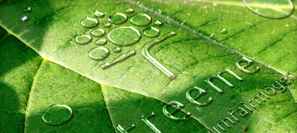 Treeme - Sicherheit und Transparenz Treeme - Sicherheit und Transparenz