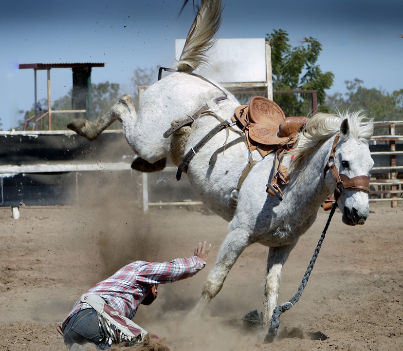 Rodeo-Domains und Horse-Domains- die Domains für Webseiten über echten Männer-Sport