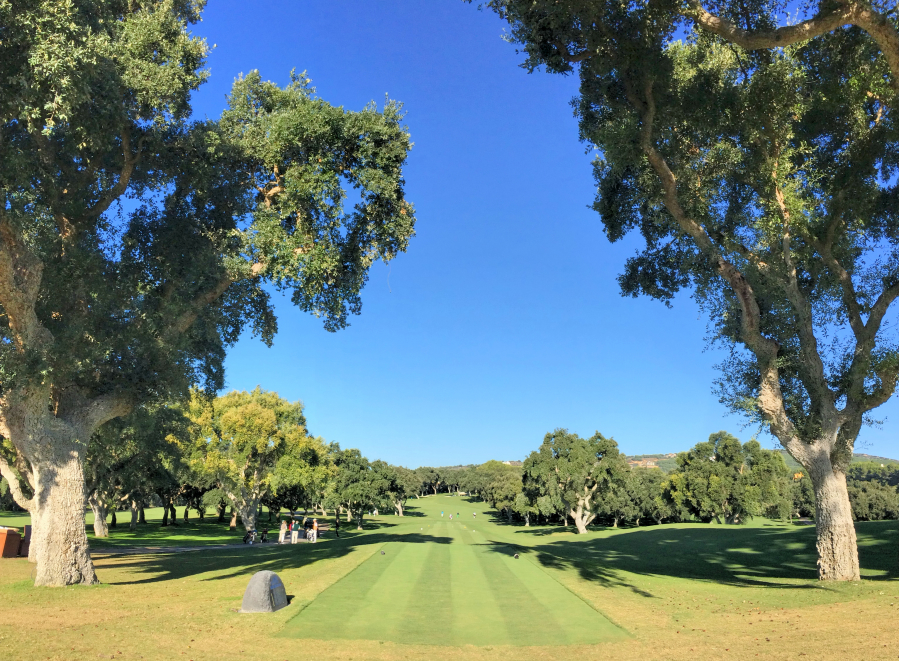 Valderrama Tee 1 Valderrama Tee 1