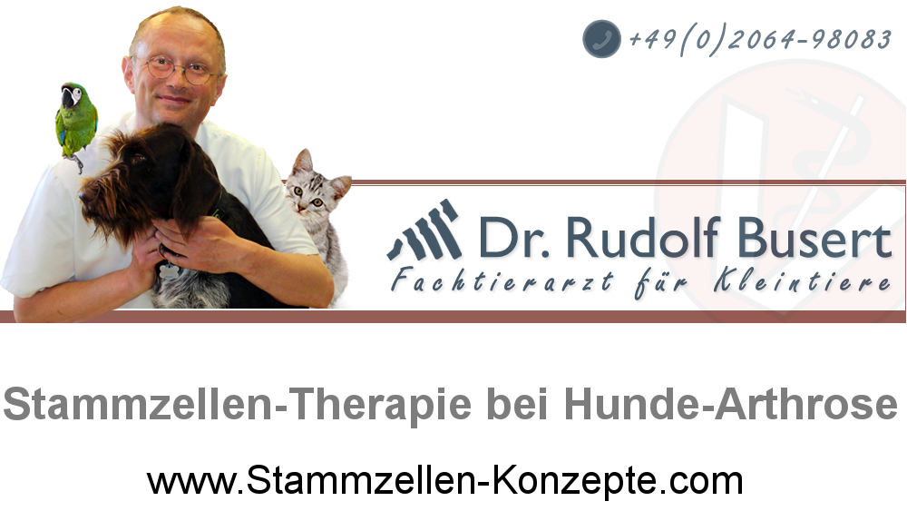 Tierarzt in Dinslaken bietet bei Hunde-Arthrose Stammzellbehandlung.