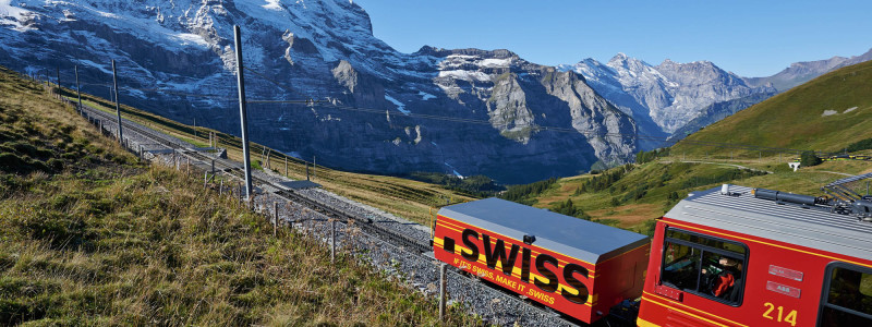 Swiss-Domains sind für Schweizer Unternehmer die Domain erster Wahl