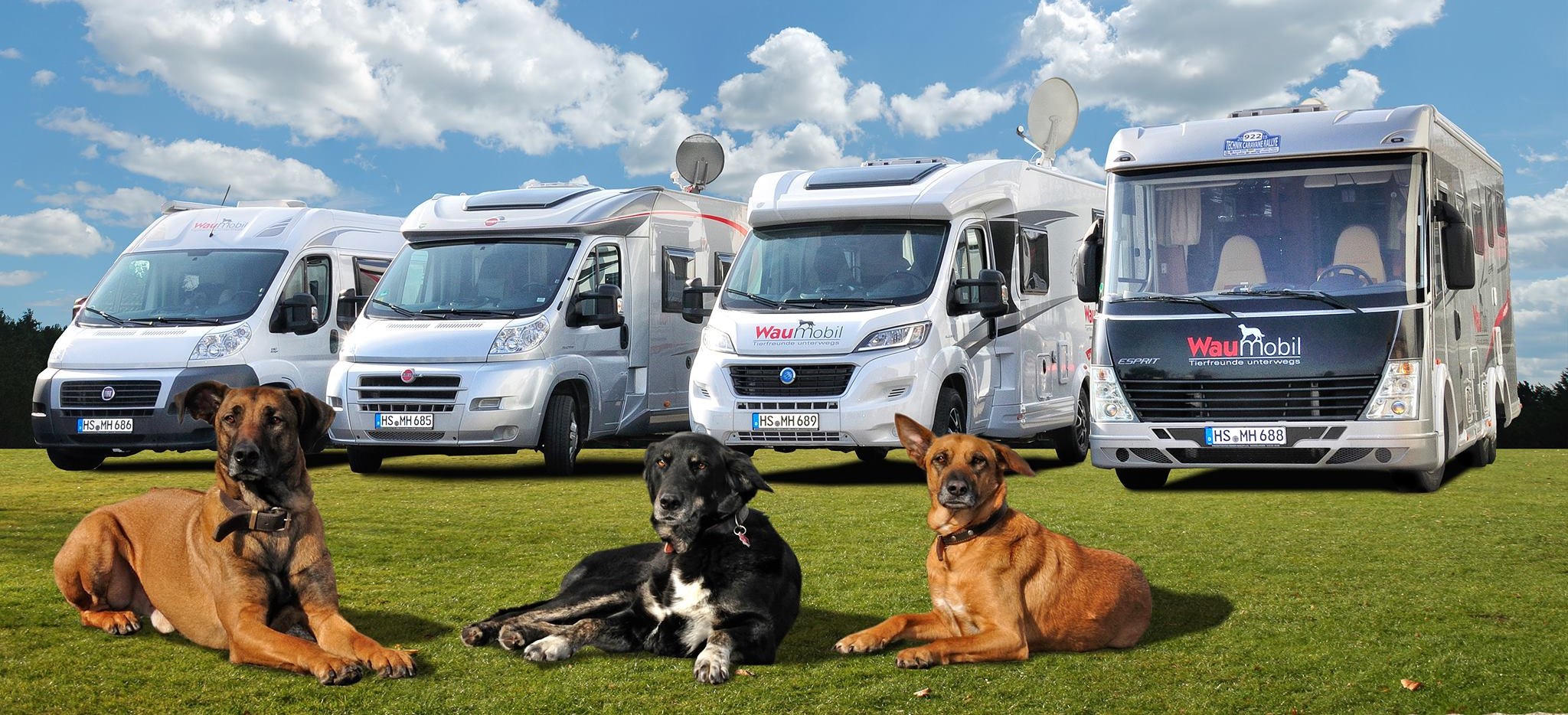 Hundegerecht ausgestattete Miet-Reisemobile: Da freuen sich die vierbeinigen Familienmitglieder. Hundegerecht ausgestattete Miet-Reisemobile: Da freuen sich die vierbeinigen Familienmitglieder.