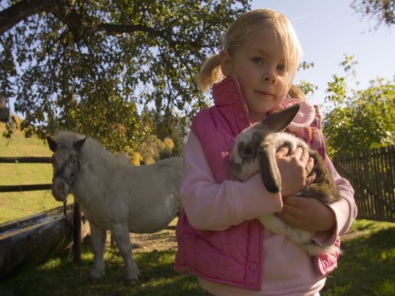 Ferienglück: Mit Kaninchen und Pony auf Du und Du. (Bildquelle: Altenmarkt-Zauchensee Tourismus) Ferienglück: Mit Kaninchen und Pony auf Du und Du. (Bildquelle: Altenmarkt-Zauchensee Tourismus)