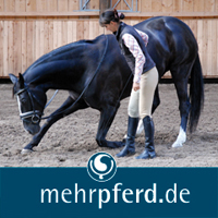 Bodenarbeit: Gymnastik für Geist und Körper Bodenarbeit: Gymnastik für Geist und Körper