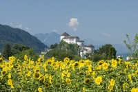 Blick auf die Festung