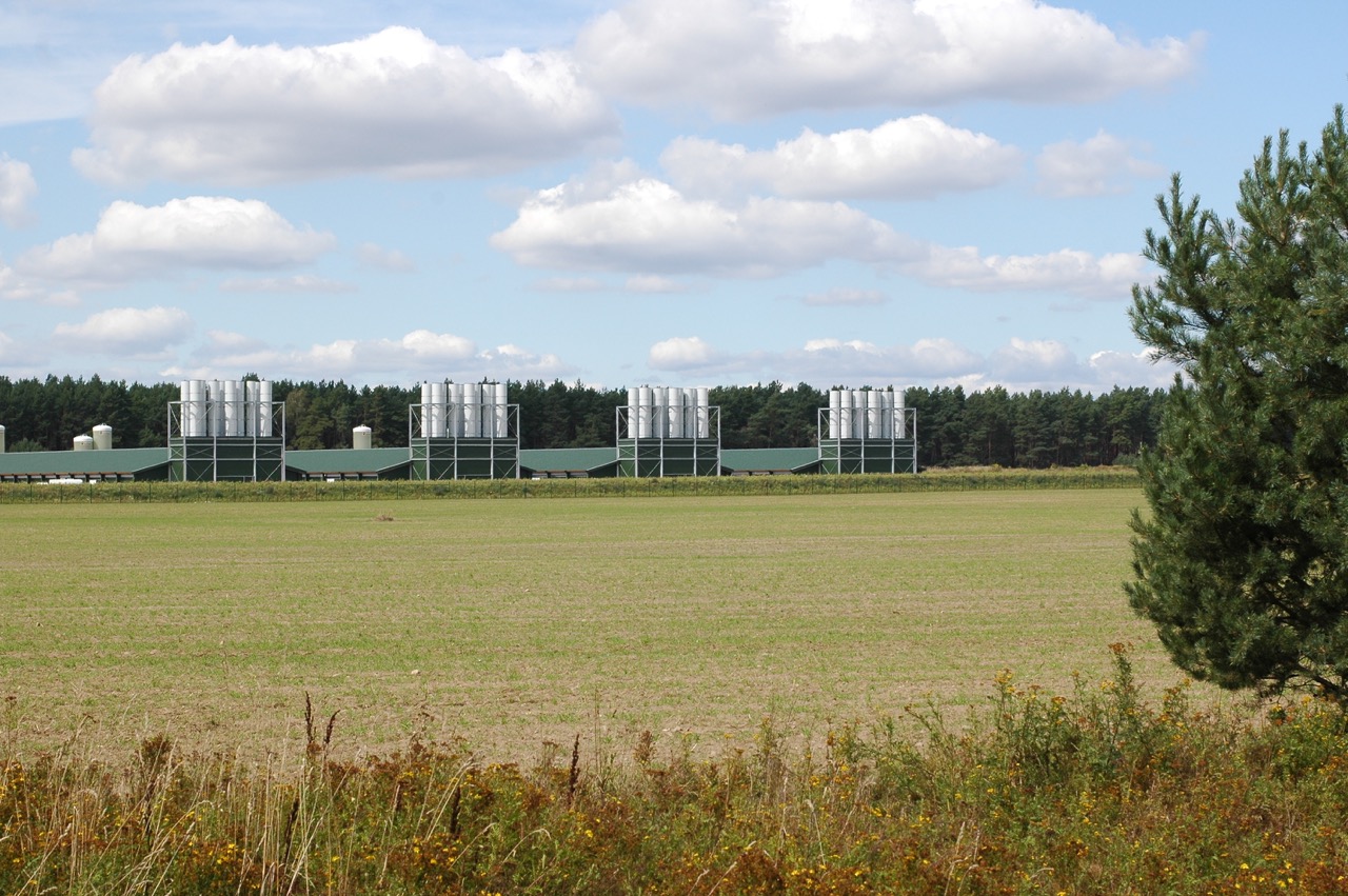 Hähnchenmastanlage mit Baustopp Hähnchenmastanlage mit Baustopp
