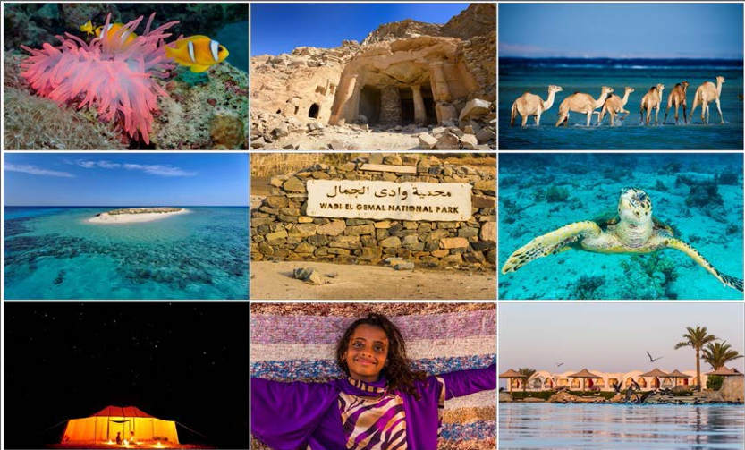 Wadi el Gemal Wadi el Gemal