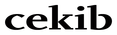 cekib veranstaltet die Thementage Ethik cekib veranstaltet die Thementage Ethik