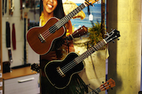 Musik Wittl GmbH Musik Wittl GmbH