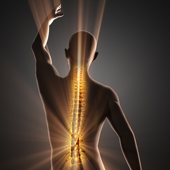 Diagnose: Osteoporose durch eine Knochendichtemessung absichern. (Bildquelle:©videodoctor - Fotolia)