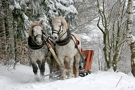 Schlittenfahrt Schlittenfahrt