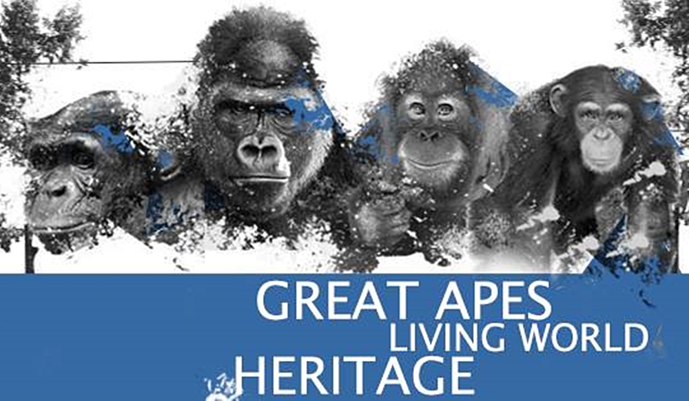 Initiative des Great Ape Project