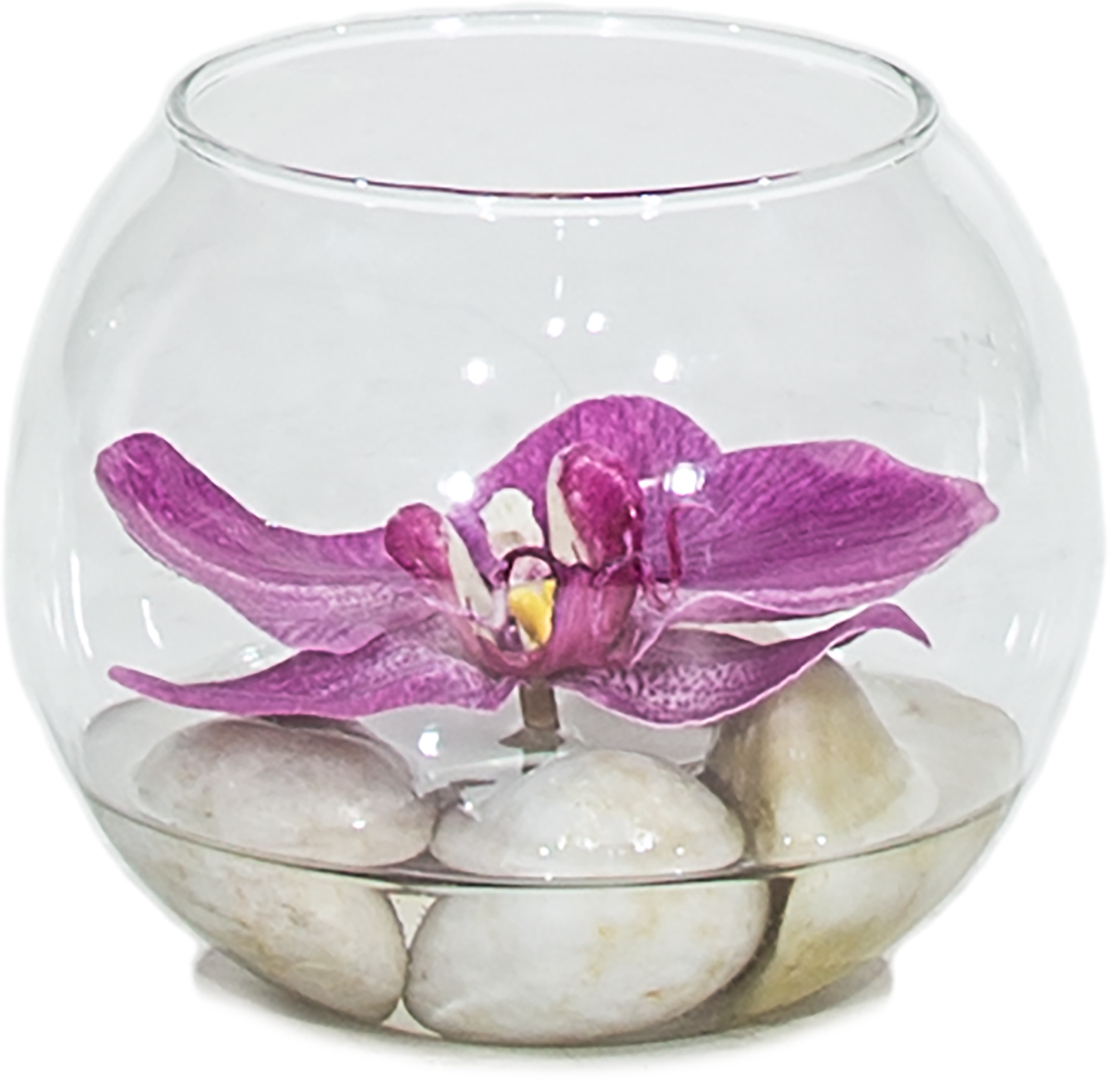Glasvase mit Orchidee dekoriert