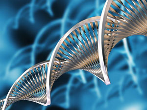 biologische Krebstherapie biologische Krebstherapie