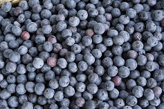 Heidelbeeren