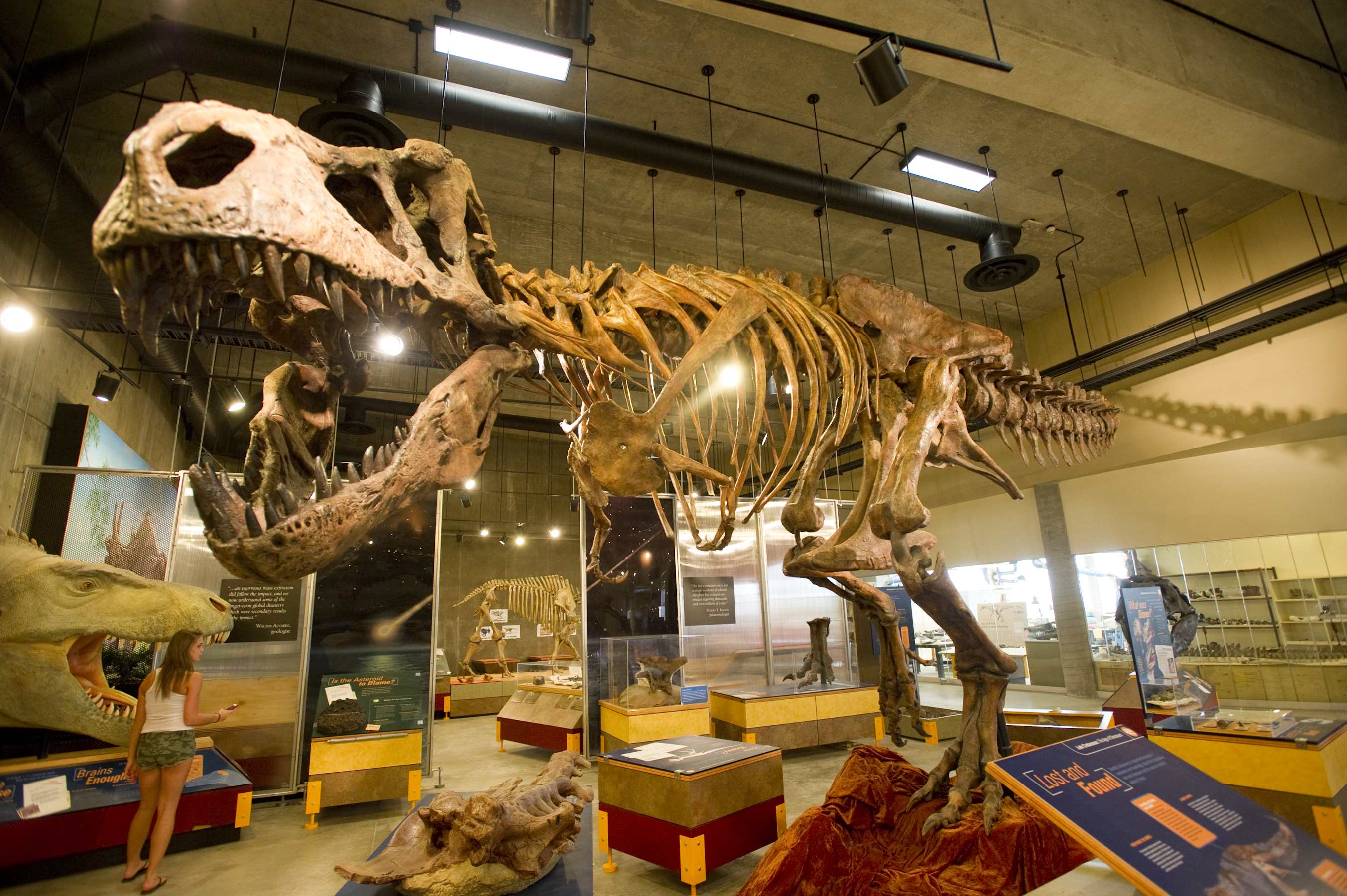 T.Rex"Scotty" im T.Rex Discovery Center in Eastend (Bildquelle: Tourism Saskatchewan& 