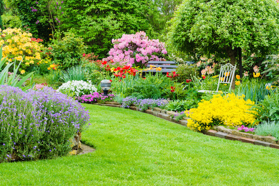 Ein schöner Rasen ist eine Augenweide (Bildquelle: immoexperten.de / Krawczyk-Fotos / Fotolia.com)