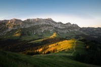 Blick auf Kronberg