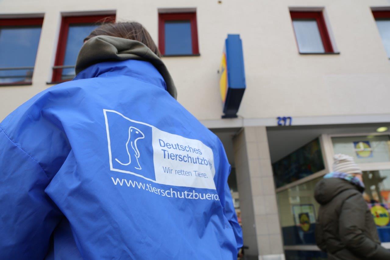 Tierschutz-Aktion vor LIDL in Reutlingen - Deutsches Tierschutzbüro kommt mit Plakat-Wagen Tierschutz-Aktion vor LIDL in Reutlingen - Deutsches Tierschutzbüro kommt mit Plakat-Wagen