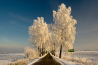 Masuren im Winter