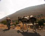 Kreta