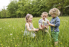 Waldränder, hohes Gras und Unterholz sind ein Paradies für Zecken.  Foto: HUK-COBURG