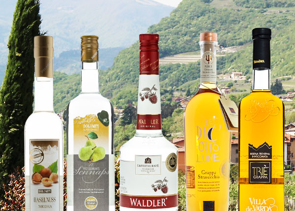 Schnaps und Grappa aus Südtirol und dem Trentino Schnaps und Grappa aus Südtirol und dem Trentino