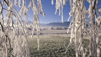 Winterzeit im Alpenhof Murnau am Staffelsee, Bayern