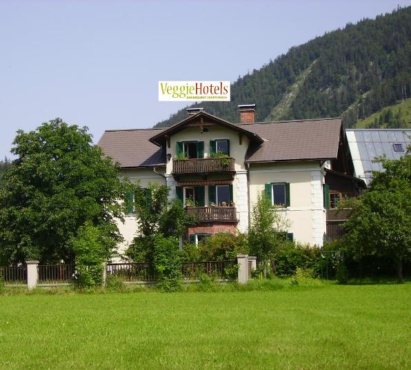 alltaussee wesentlich gesund Altaussee vegan vegetarisch alltaussee wesentlich gesund Altaussee vegan vegetarisch