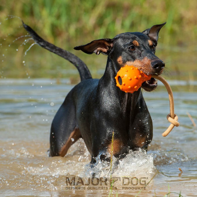 Wasserspielzeug Schwimmender Eddy