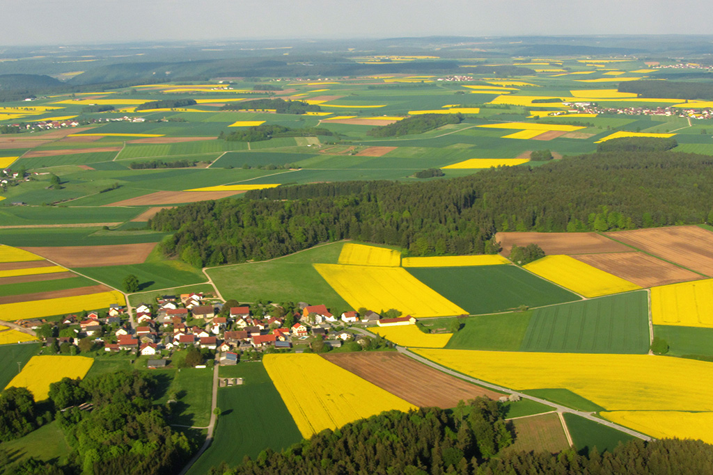 Bayern zählt heute zu den wichtigsten Anbauregionen für Raps in Deutschland. (Bildquelle: BDOel / An Bayern zählt heute zu den wichtigsten Anbauregionen für Raps in Deutschland. (Bildquelle: BDOel / An