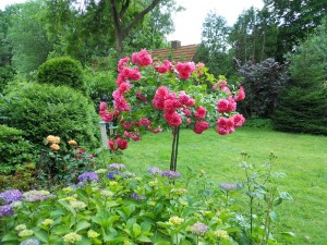 Der Duft einer Rose, ein Objekt der Begierde?Denkmalpflege in Deutschland - von Eric Mozanowski Der Duft einer Rose, ein Objekt der Begierde?Denkmalpflege in Deutschland - von Eric Mozanowski