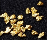Gold-Nuggets