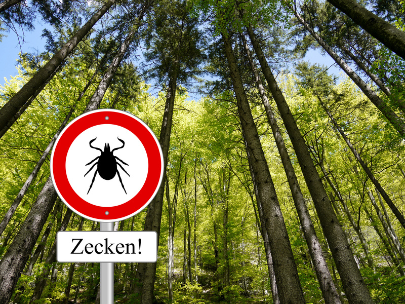 Bildnachweis @Fotolia - Zeckentest schützt vor Borreliose Bildnachweis @Fotolia - Zeckentest schützt vor Borreliose