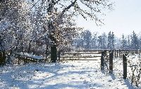 Winter Landschaft