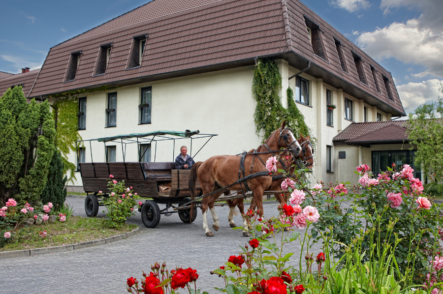Perfekte Familien- und Wellnessferien in den Sonnenhotels (Bildquelle: Sonnenhotels)