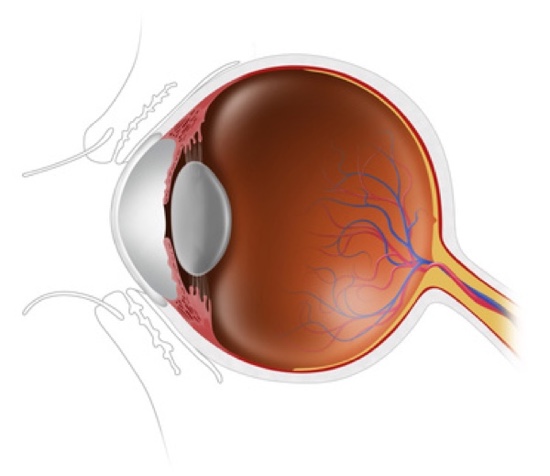 Augen lasern lassen mit hochmoderner Technologie. (Bildquelle:©kocakayaali - Fotolia.com)