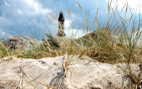 In Warnemünde beheimatet: die anadeum und ihre Marke Fabelhaftes Warnemünde (Bildrechte: anadeum) In Warnemünde beheimatet: die anadeum und ihre Marke Fabelhaftes Warnemünde (Bildrechte: anadeum)
