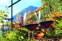 Zielspitze-Wein © Daniela Prossliner