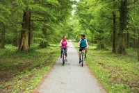 Pärchen bei Radtour im Schutzwald