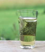 tea-exclusive.de - Kaltwassertee Mizudashi Gyokuro tea-exclusive.de - Kaltwassertee Mizudashi Gyokuro