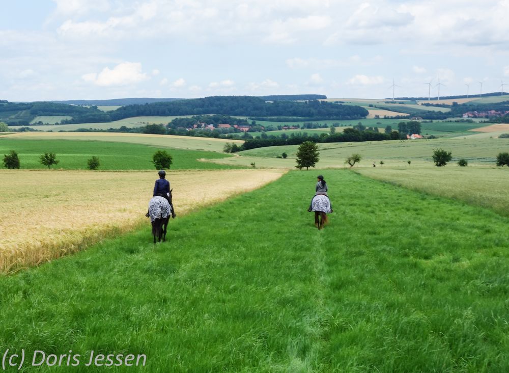 Hügelige Landschaften, Wiesen und Felder: Reiturlaub im Harz Hügelige Landschaften, Wiesen und Felder: Reiturlaub im Harz