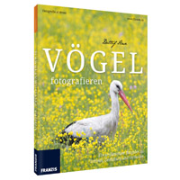 Vögel fotografieren - Fotoschule Naturfotografie Vögel fotografieren - Fotoschule Naturfotografie