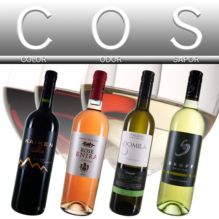Mit der COS Methode Wein verkosten Mit der COS Methode Wein verkosten